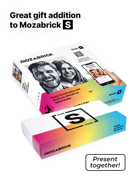 Frame for Mozabrick Model S