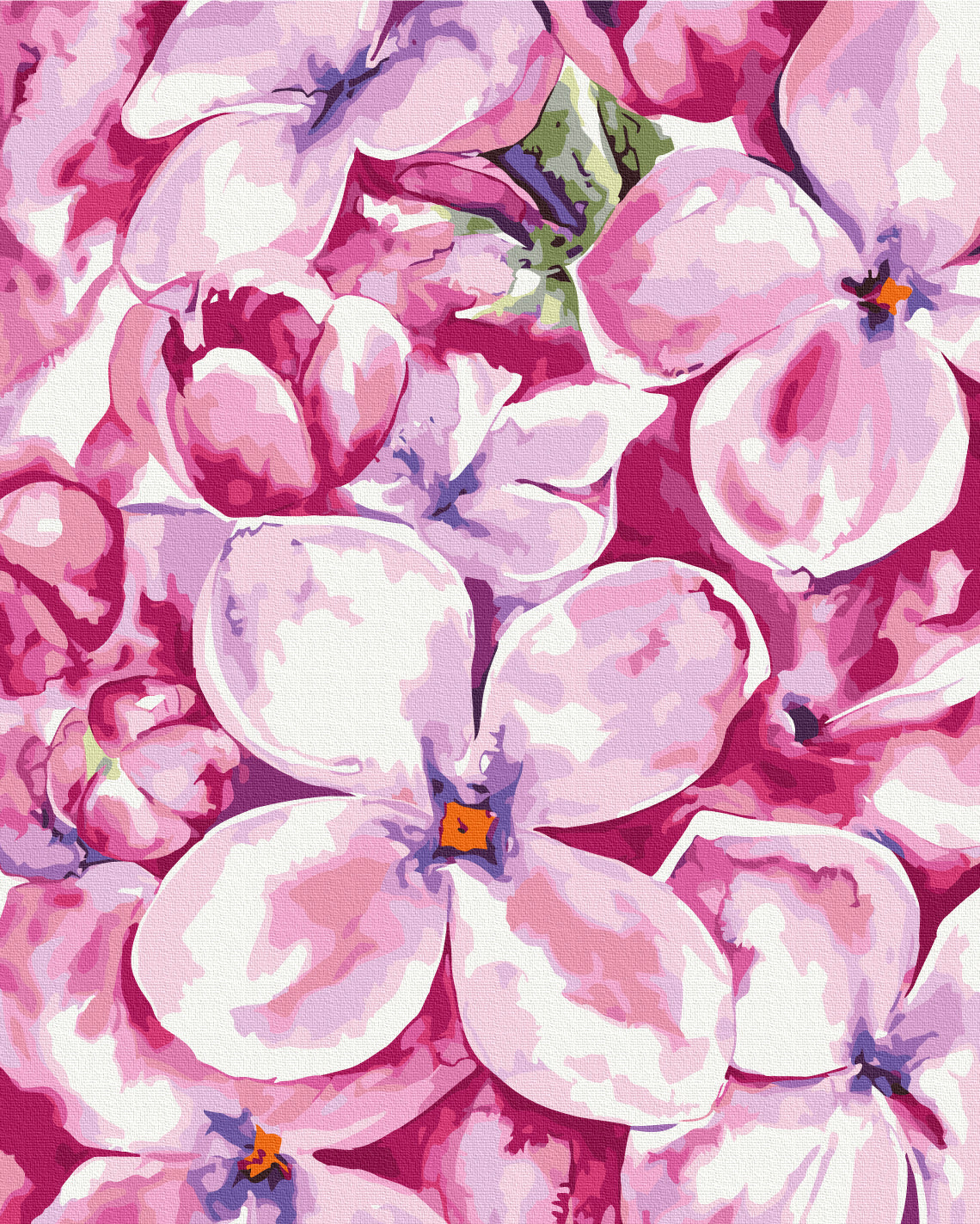 Painting by numbers Pastel garden © Karolina Bundash (BS53940)