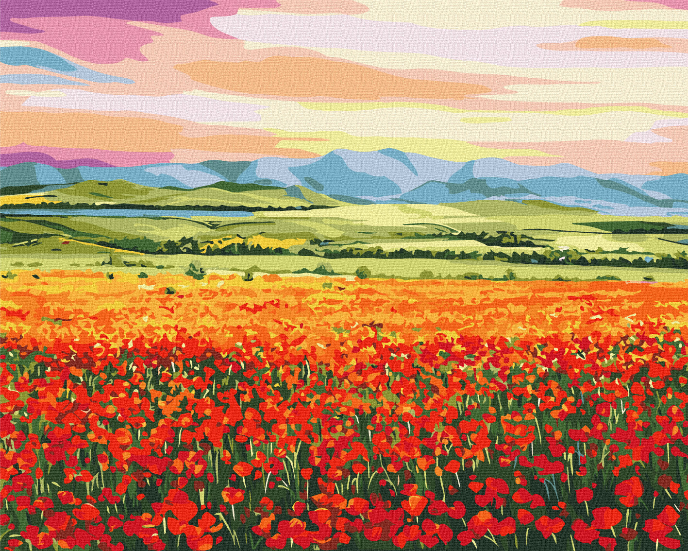 Painting by numbers Sunset over a flower field © Anna Steshenko (BS53922)