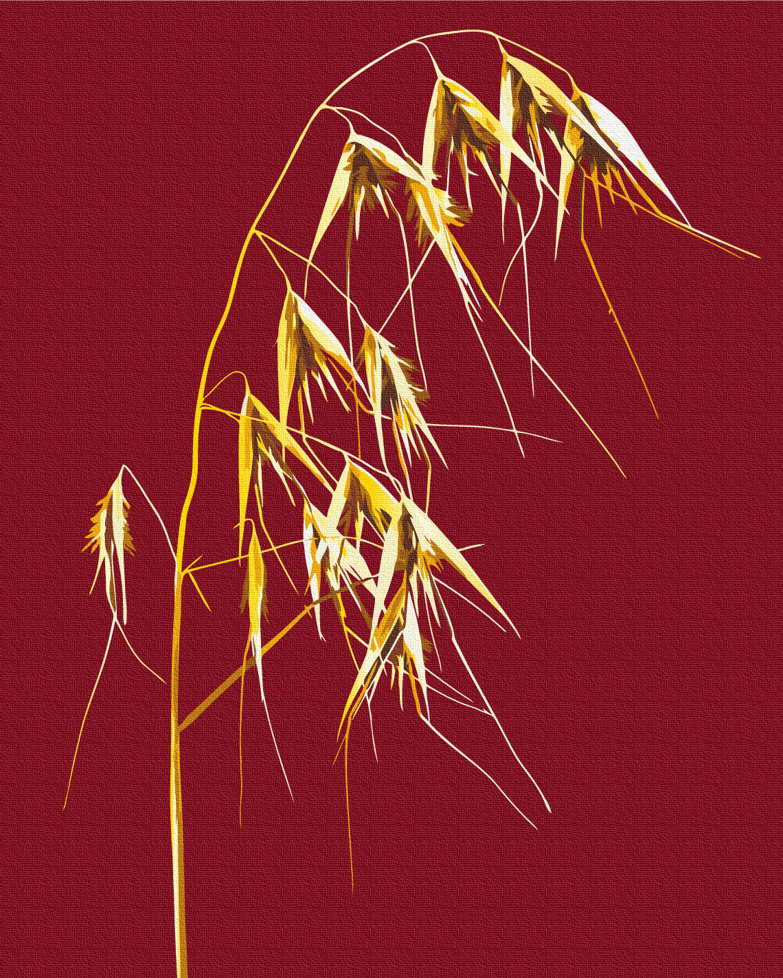 Painting by numbers Golden Wild Oats © Halyna Vitiuk (BS53994)