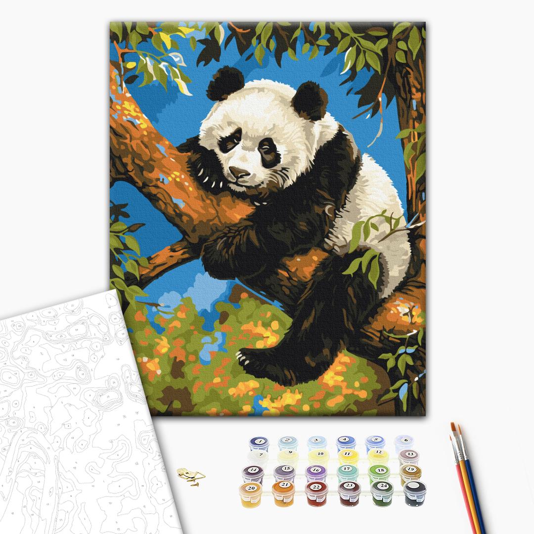 Painting by numbers Lazy panda (BS53982)