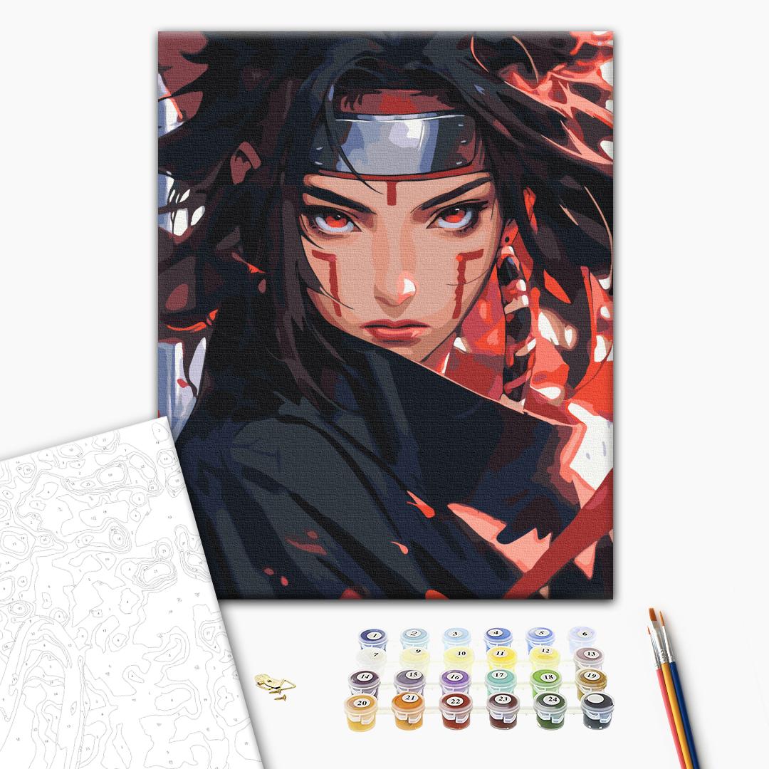 Painting by numbers Ninja (BS54072)
