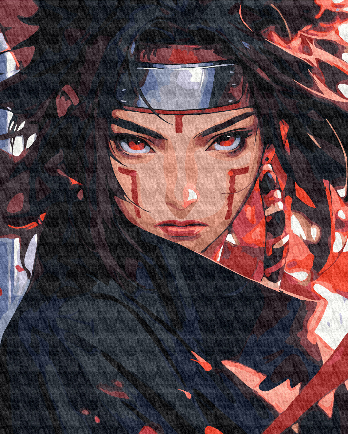 Painting by numbers Ninja (BS54072)