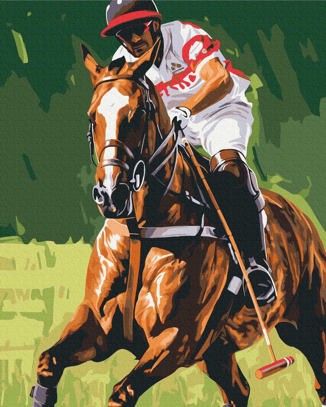 Painting by numbers Polo player (BS54105)