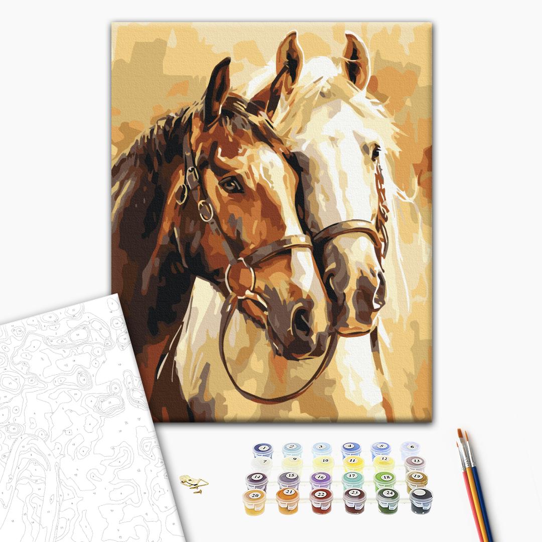 Painting by numbers Noble horses (RBS54019)