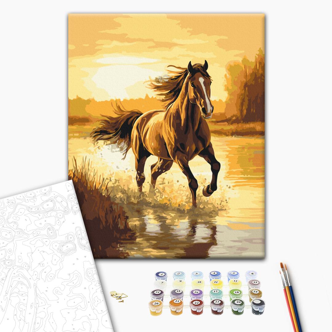 Painting by numbers Wind in the mane (BS54419)