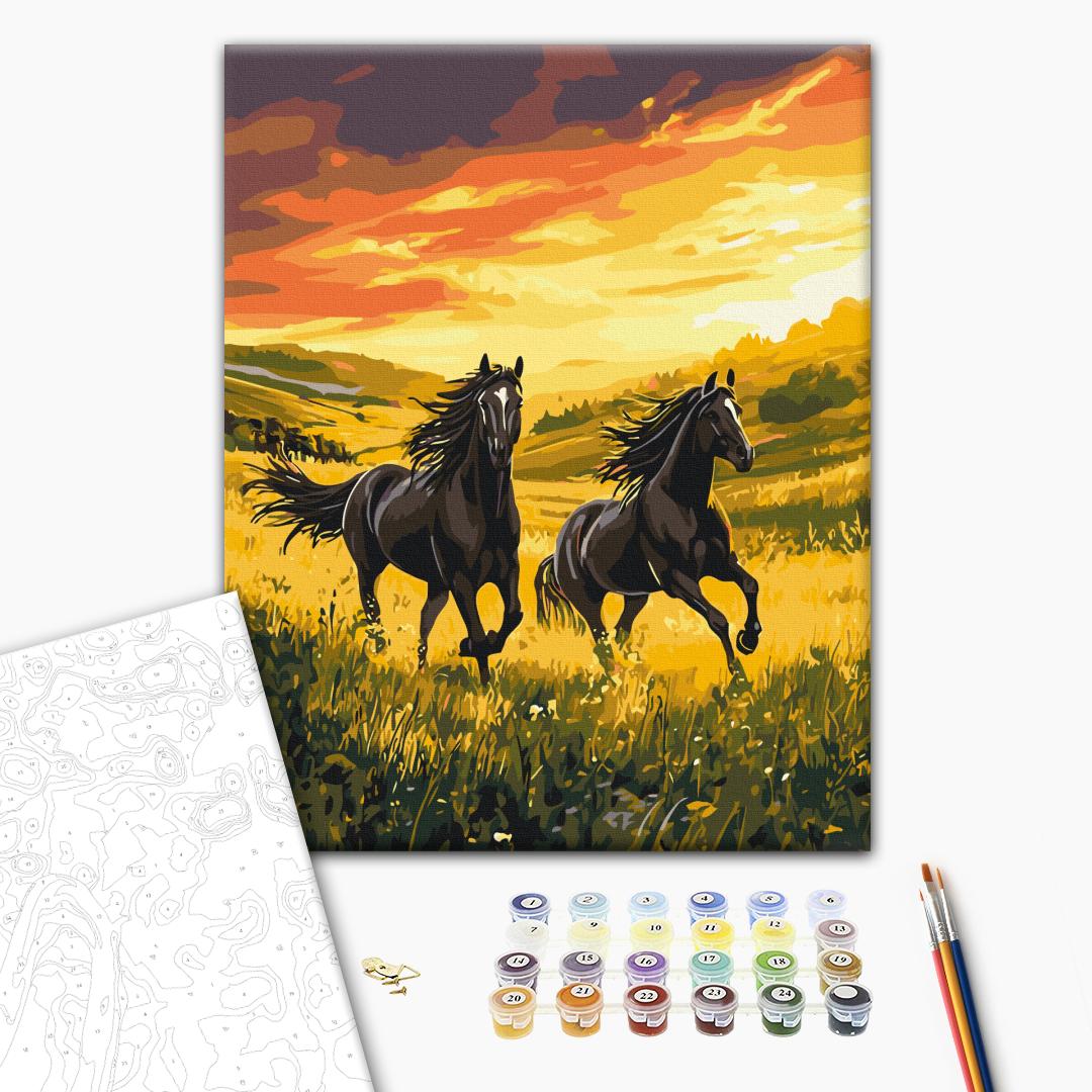 Painting by numbers Unconquered running (BS54424)