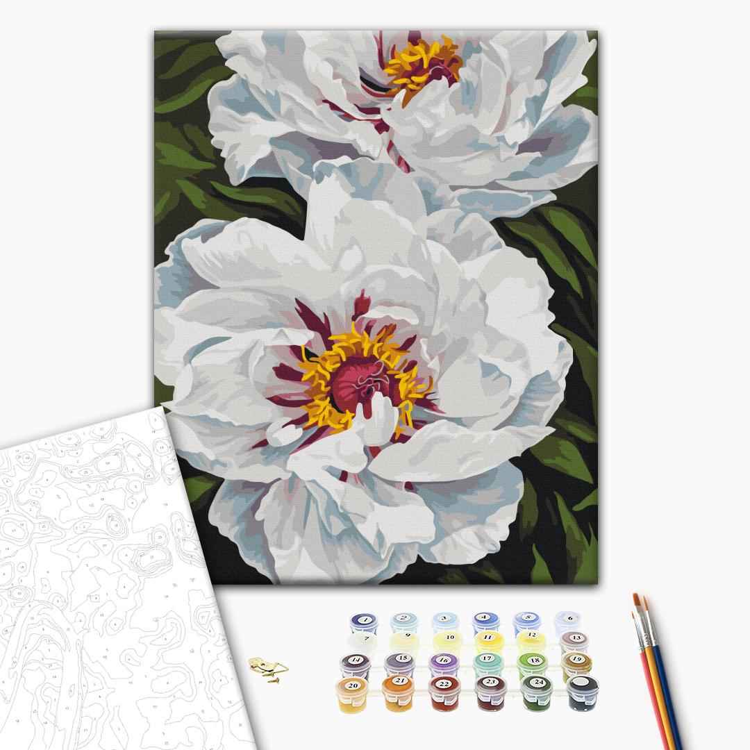 Painting by numbers White glow © Anastasia Alyokhina (BS54477)