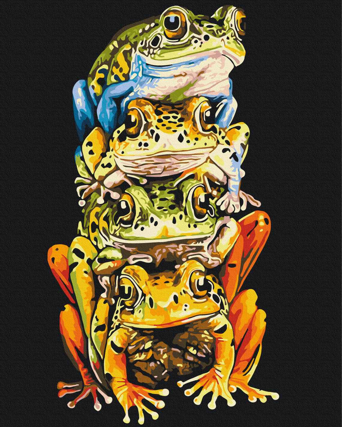 Painting by numbers Colored frogs © Telonitskaya Kristina (BS54480)