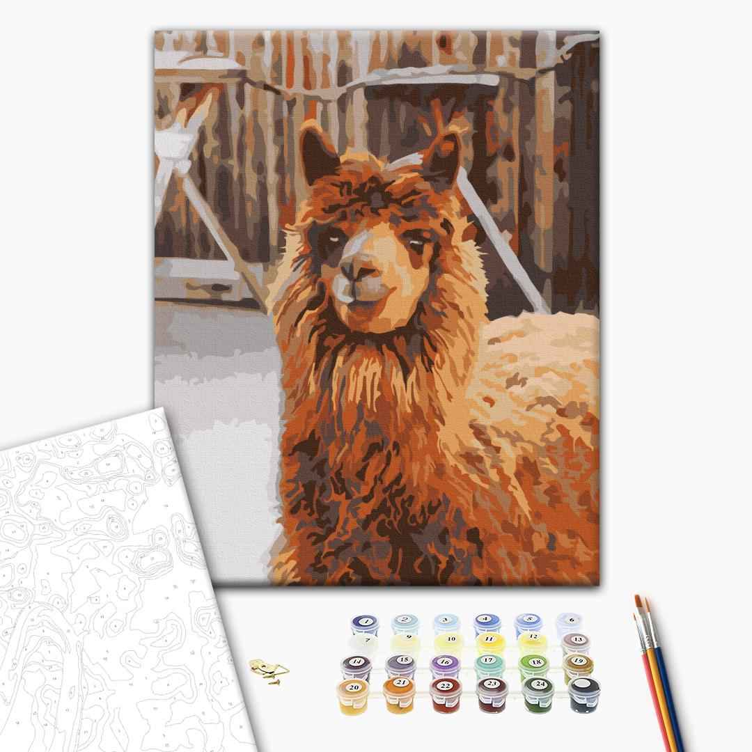 Painting by numbers Llama on the farm (RBS52266)