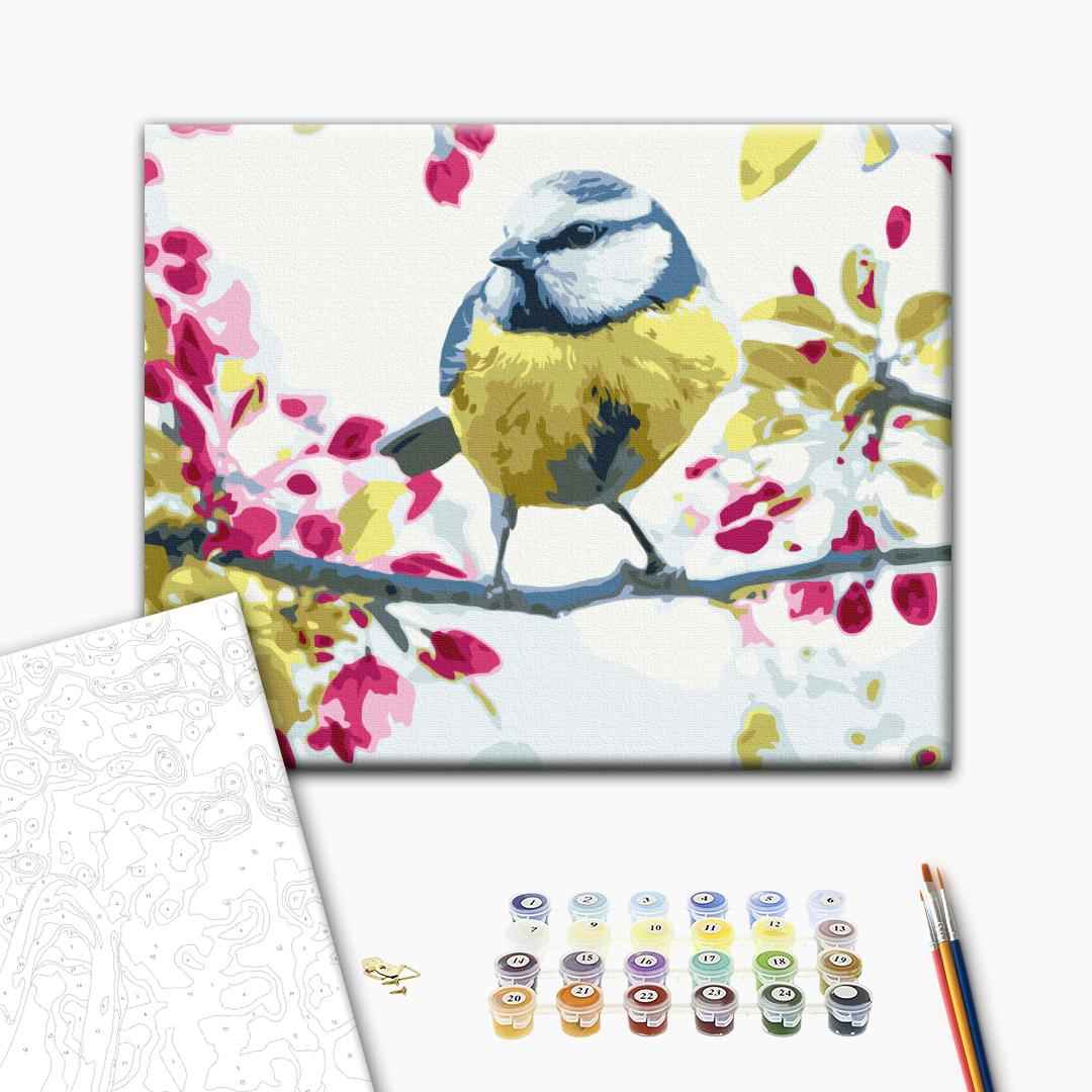 Painting by numbers Spring tit (RBS51439)