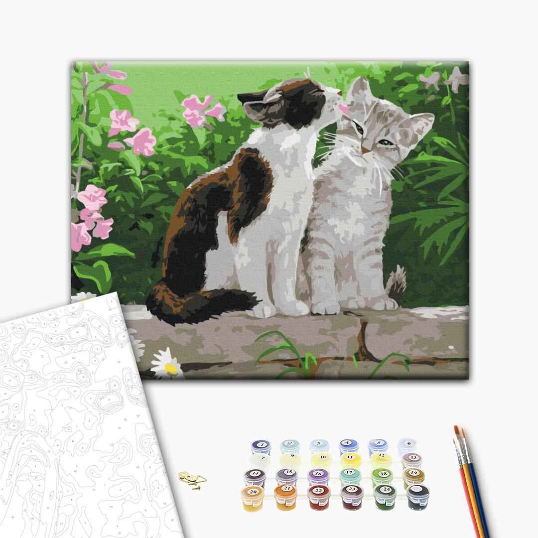 Painting by numbers Couple of kittens (RBS3251)
