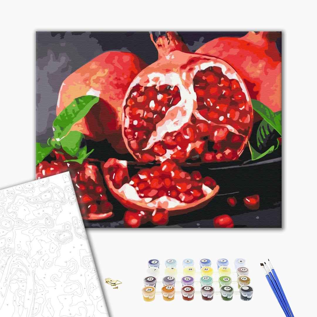 Painting by Numbers Pomegranate - Tasty Pomegranate Art Kit (BS32215)