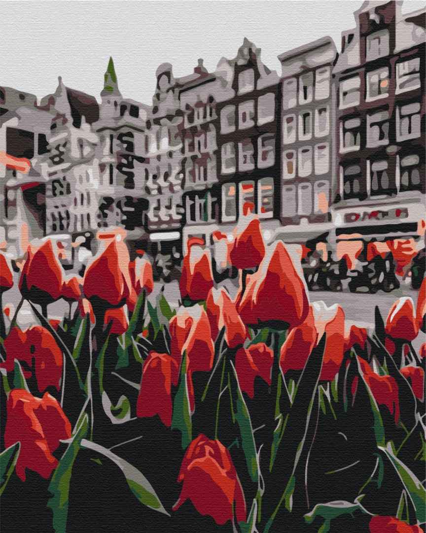 Painting by numbers Tulips Amsterdam (BS34169)