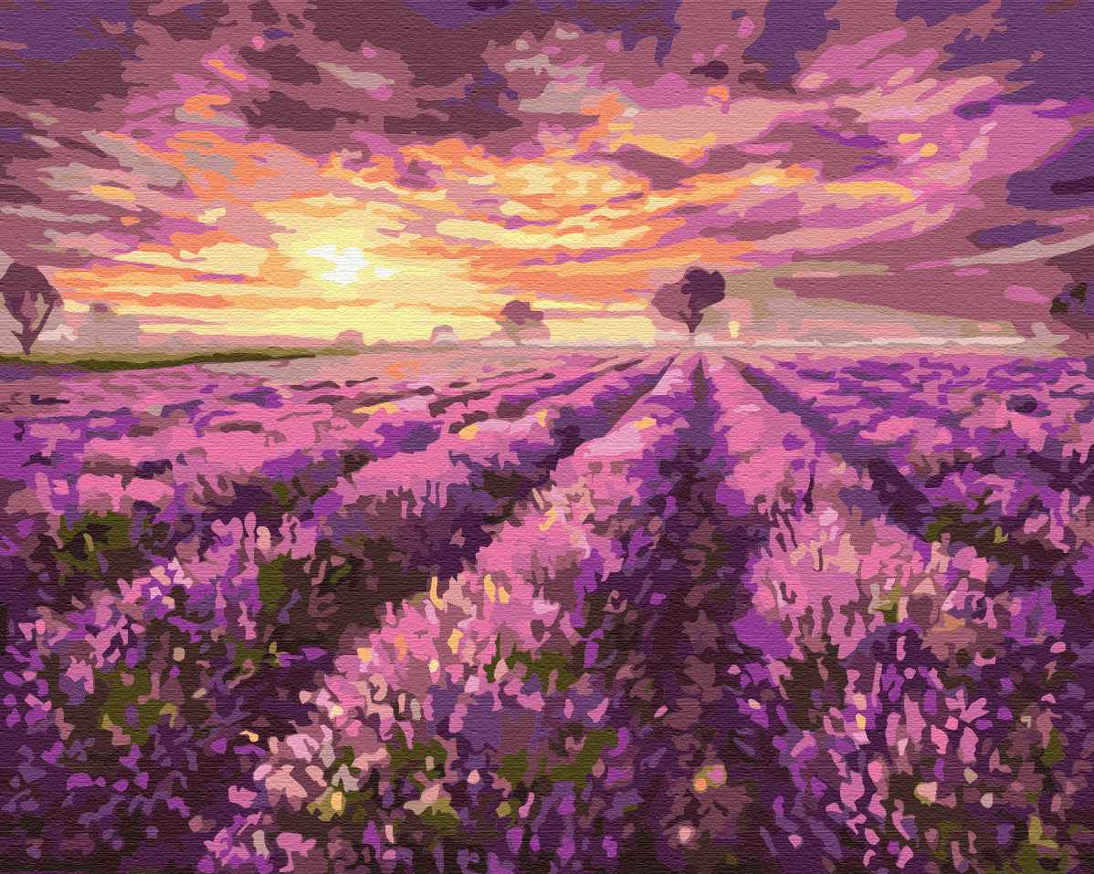 Painting by numbers Lavender sunset (BS3230)