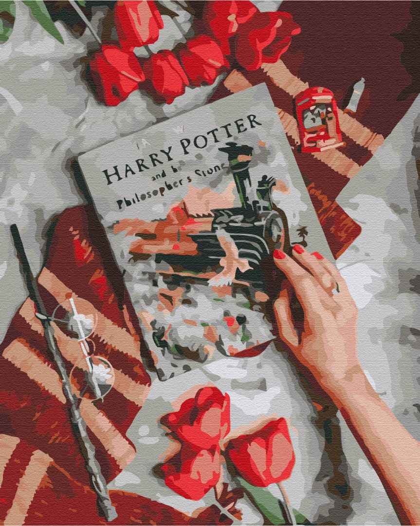 Painting by numbers Discover the magical world of Harry (BS36541)