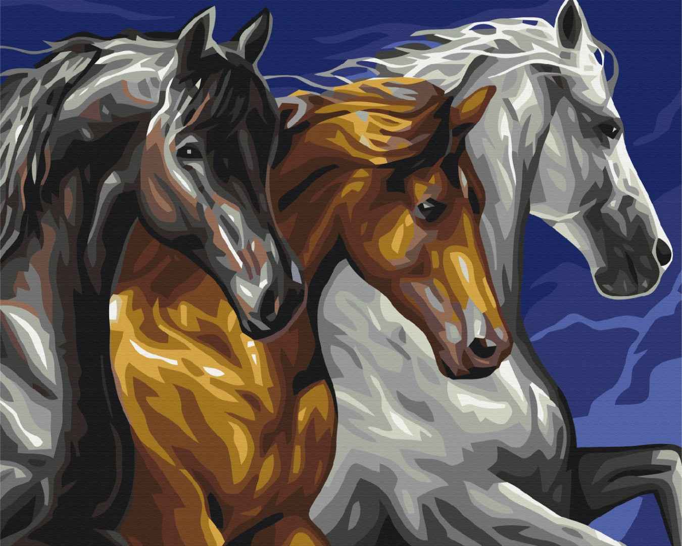 Painting by numbers Horse trio (BS5268)