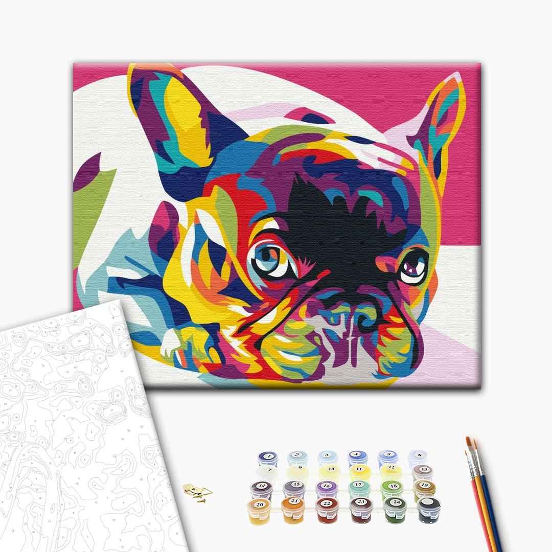 Painting by numbers Rainbow french bulldog (BS5379)