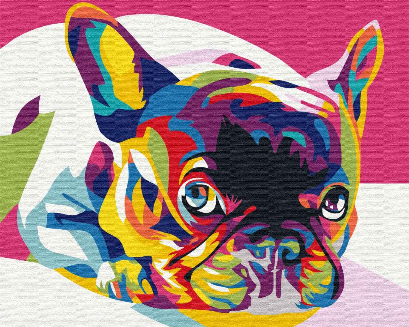 Painting by numbers Rainbow french bulldog (BS5379)