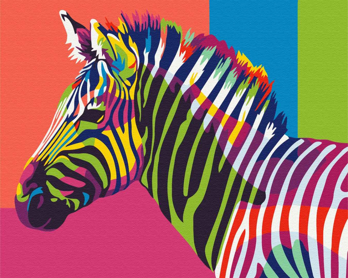 Painting by numbers Rainbow zebra (BS26201)