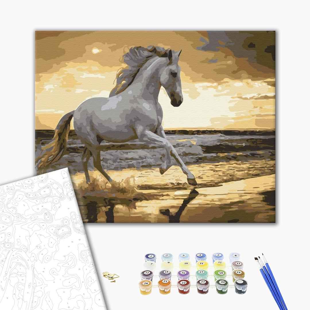 Painting by numbers Trotting on the coast (BS30903)