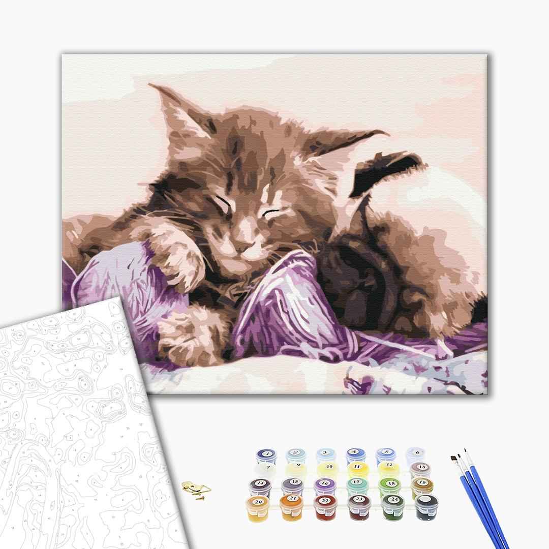 Painting by numbers Grandmother's pets (BS31170)