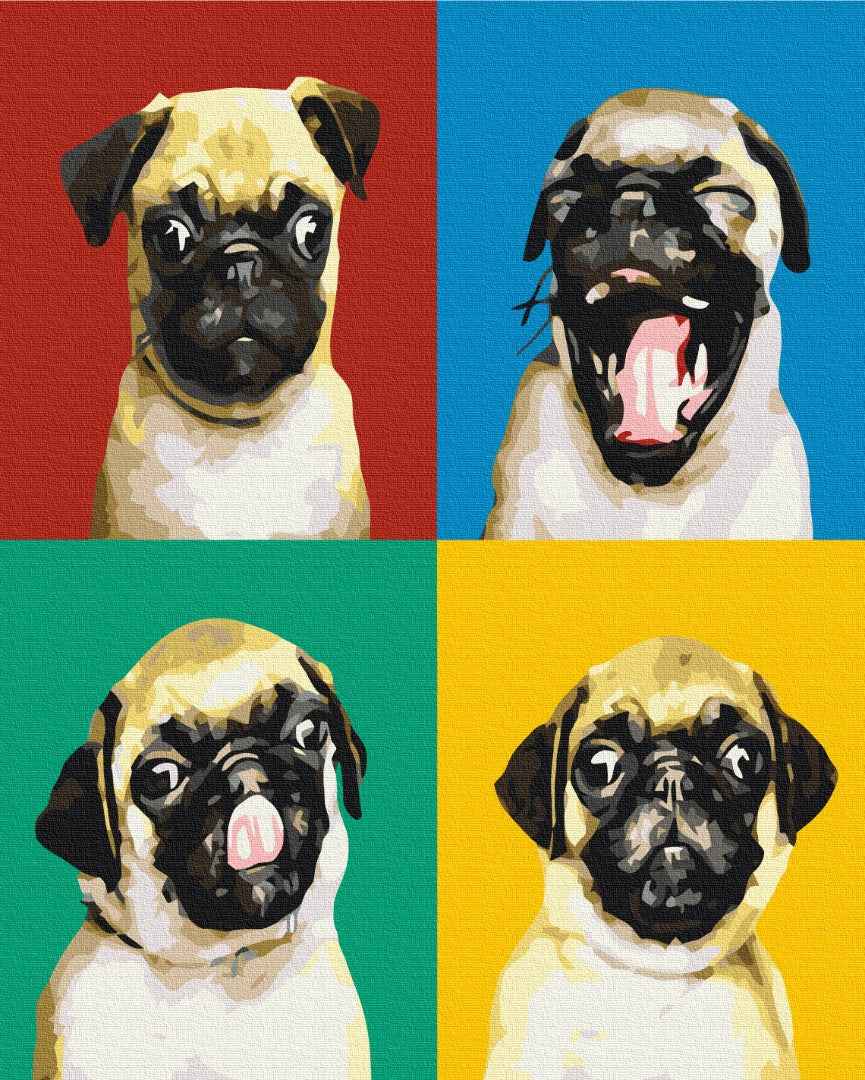 Painting by numbers Collage with a pug (BS51001)