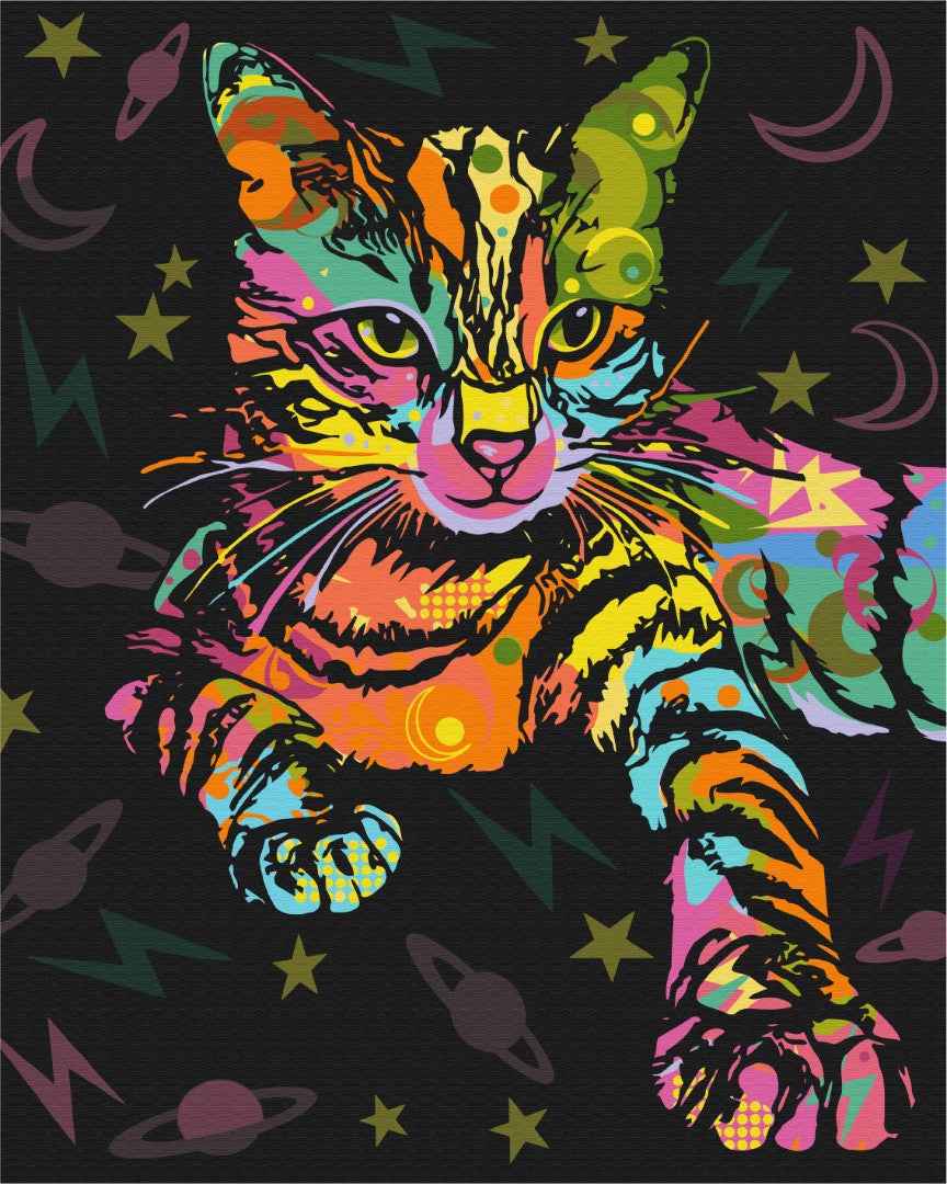 Painting by numbers Space cat (BS51365)