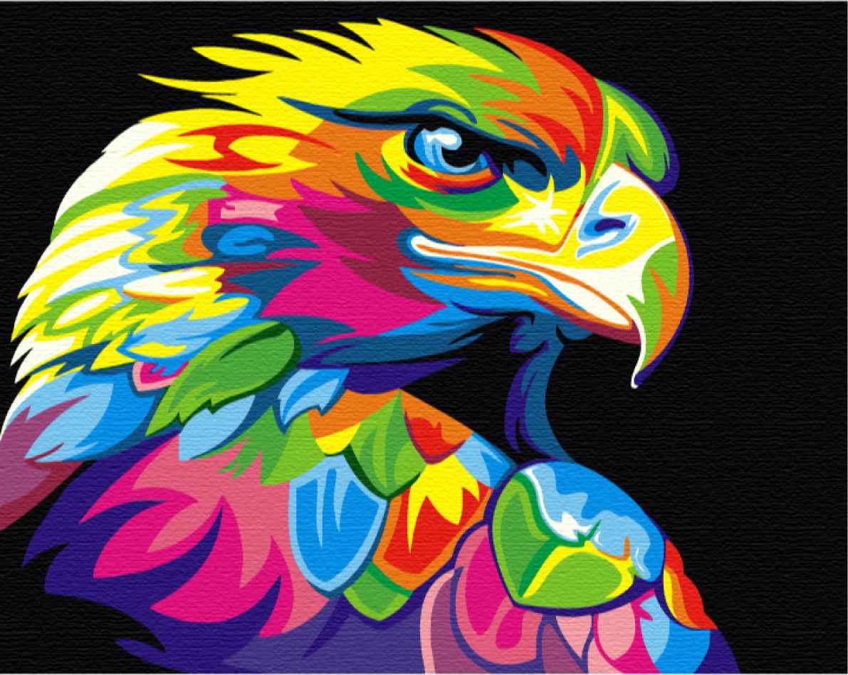 Painting by numbers Rainbow eagle (BS5329)