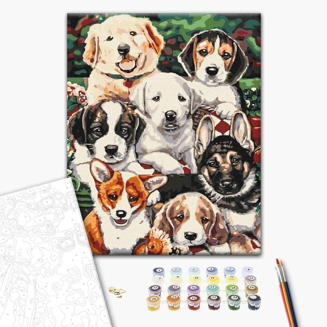 Painting by numbers Puppies (BS5544)