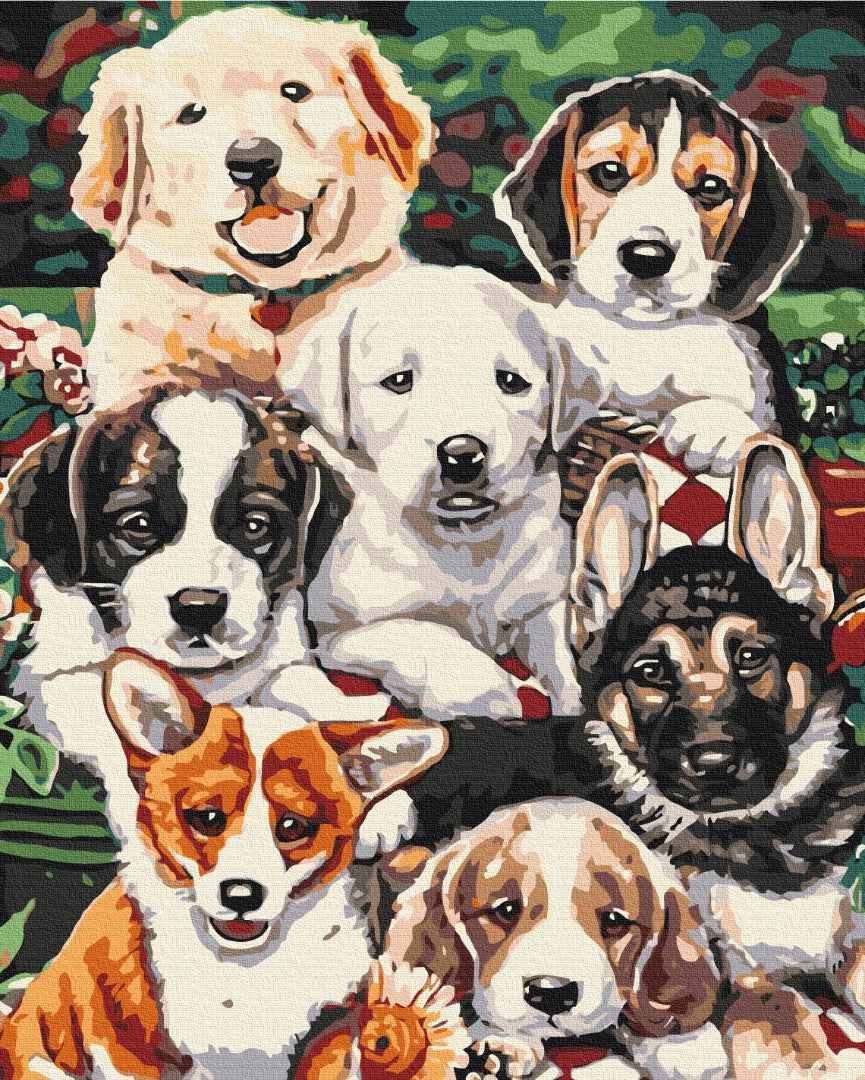 Painting by numbers Puppies (BS5544)