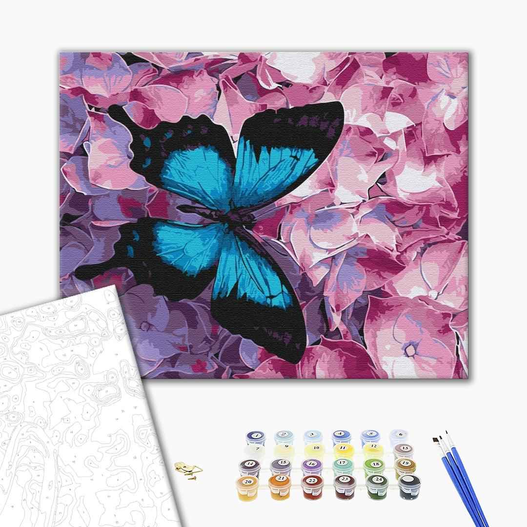 Painting by numbers Butterfly on flowers (BS21627)