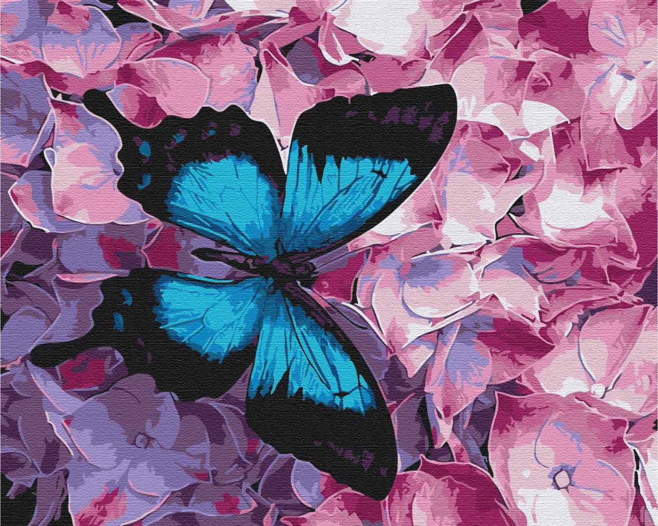 Painting by numbers Butterfly on flowers (BS21627)