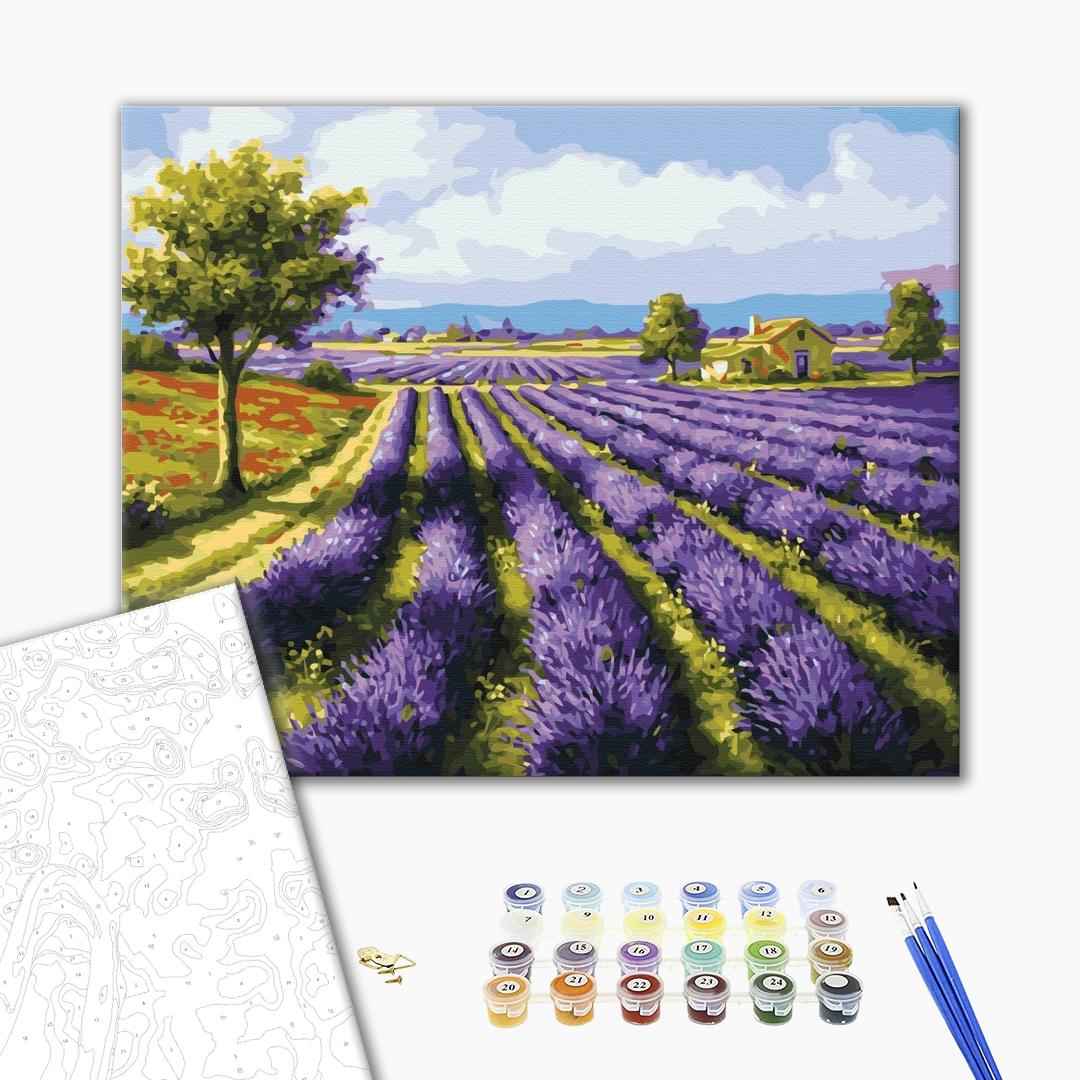 Painting by numbers Lavender fields (BS8998)