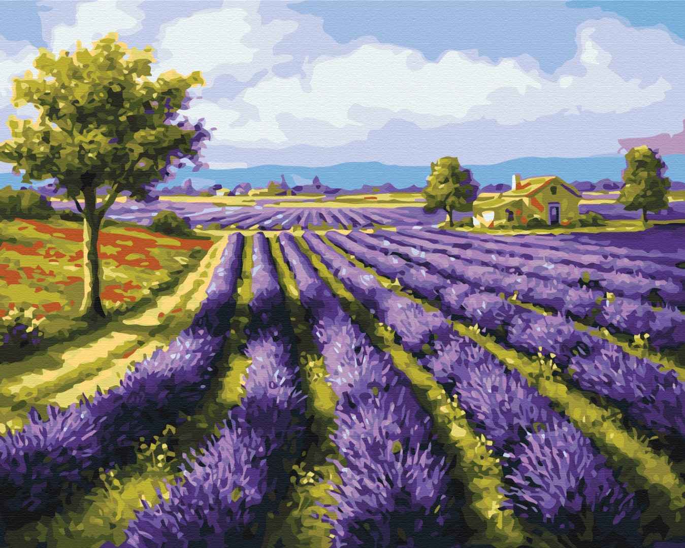 Painting by numbers Lavender fields (BS8998)