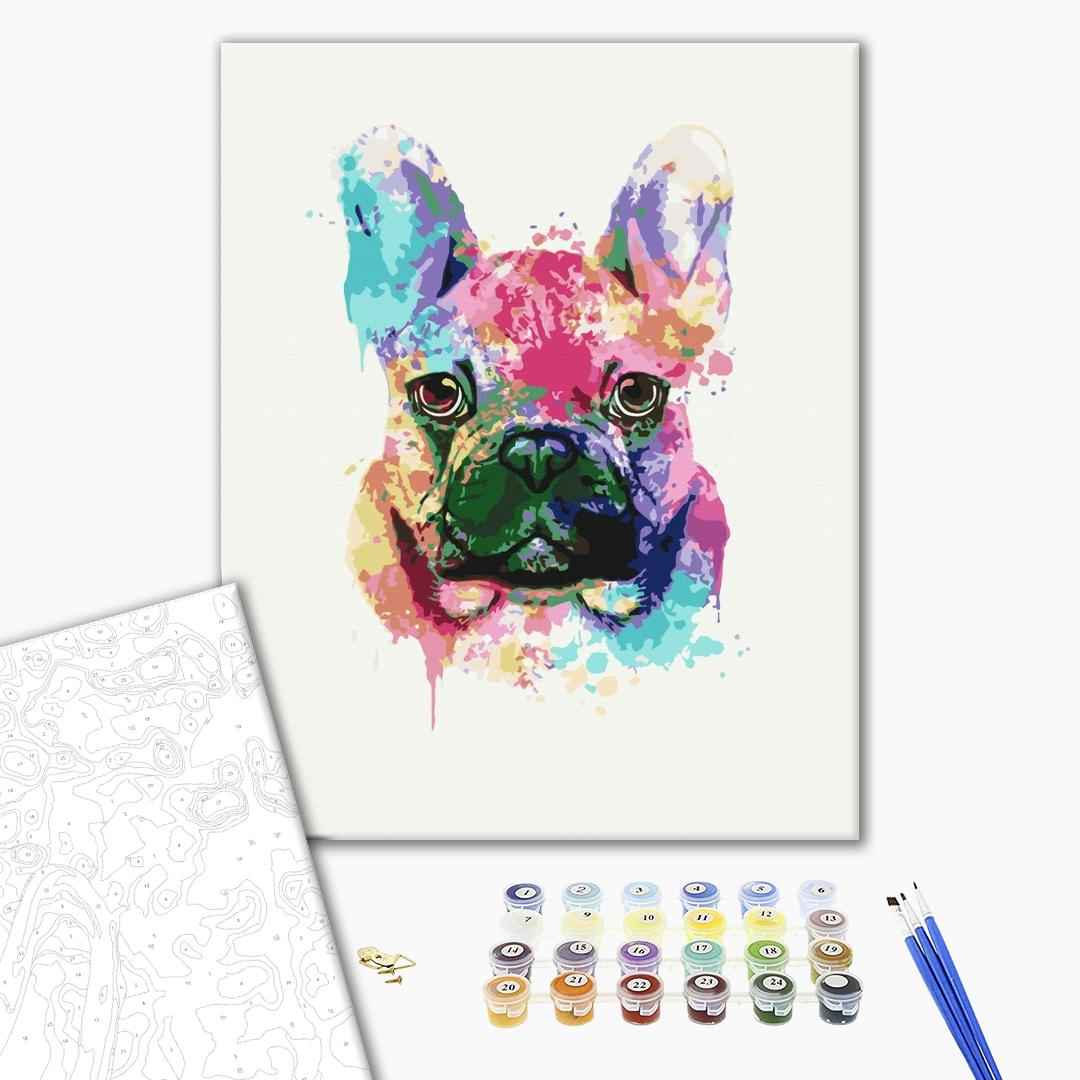 Painting by numbers Colorful bulldog (BS51398)
