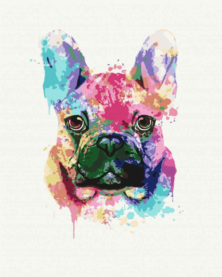 Painting by numbers Colorful bulldog (BS51398)