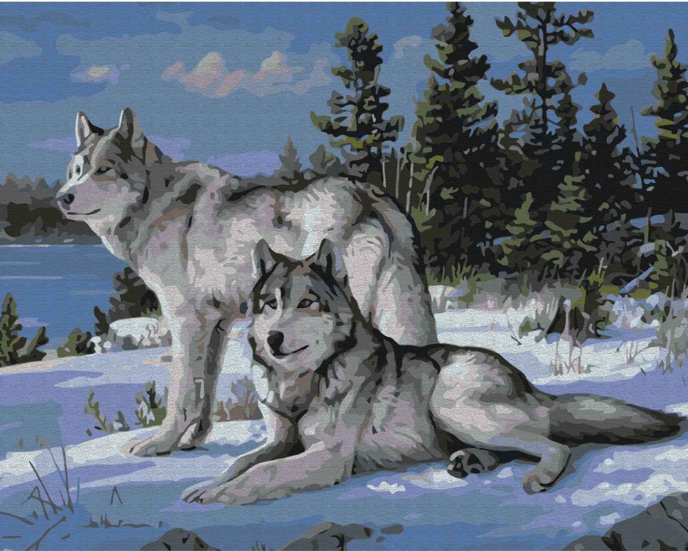 Painting by numbers Protector wolves (BS51412)