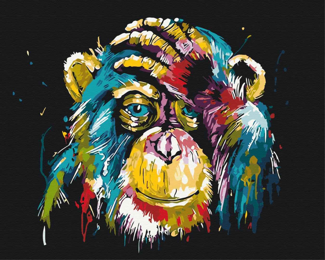 Painting by numbers Colorful chimpanzee (BS25714)