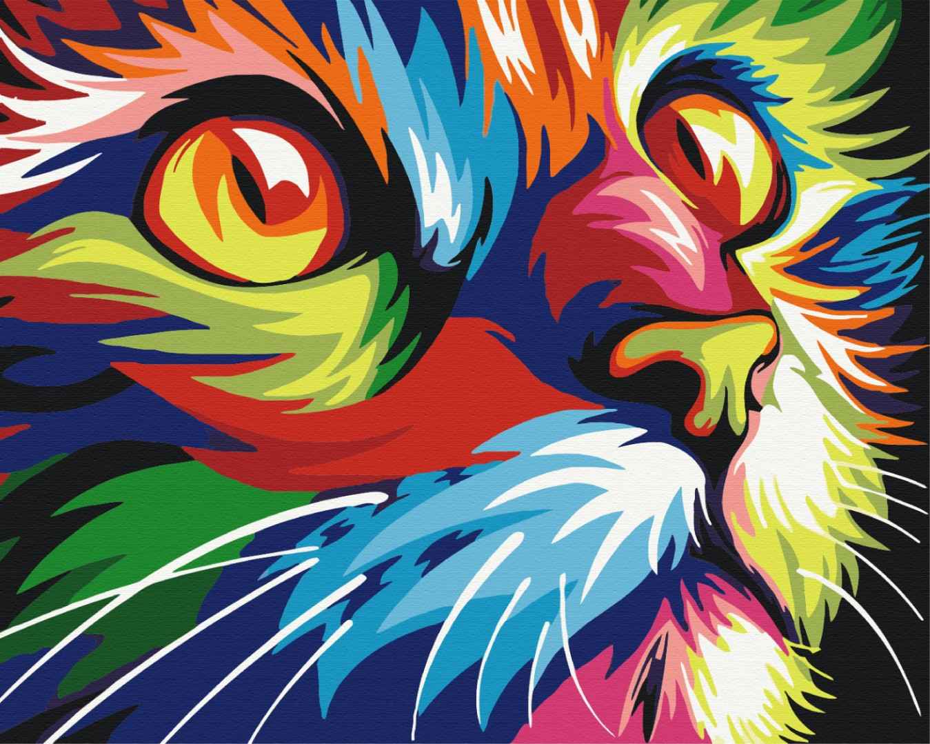 Painting by numbers Rainbow cat (BS4228)