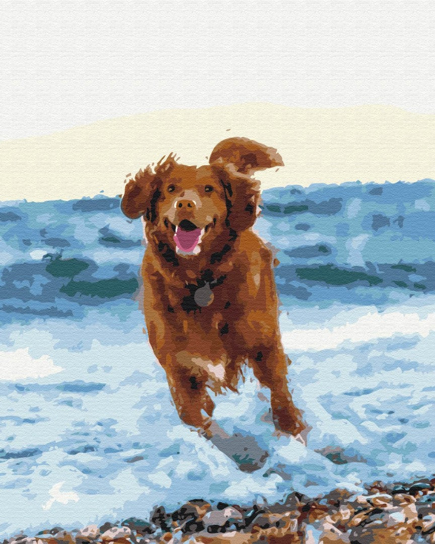 Painting by numbers Dog in the sea (BS51436)