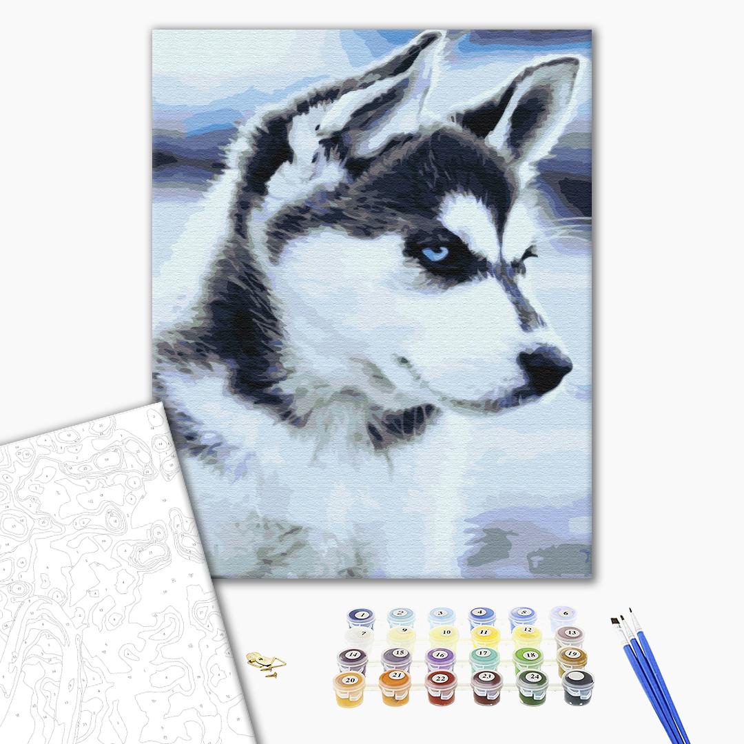 Painting by numbers Husky puppy (BS21714)