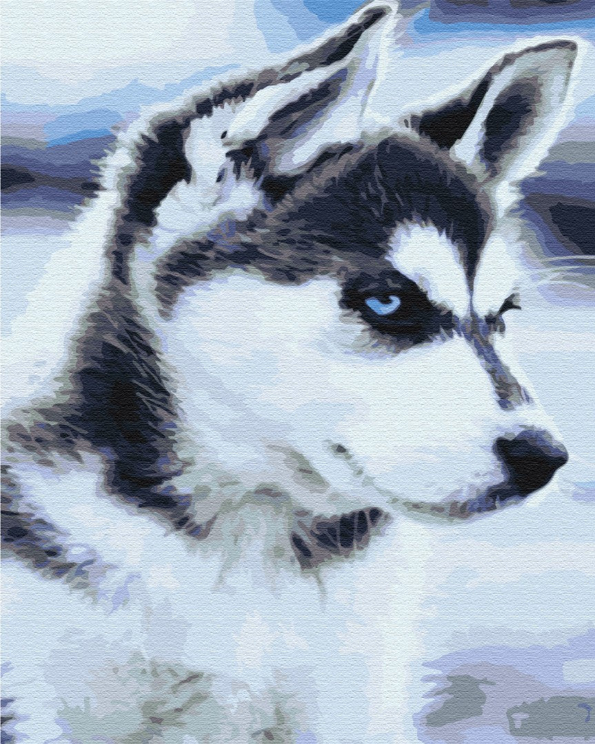 Painting by numbers Husky puppy (BS21714)