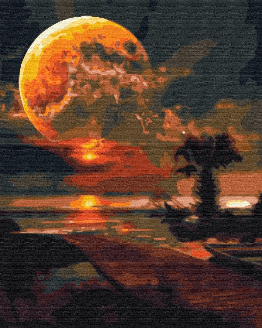 Painting by numbers Fantastic sunset (BS6364)
