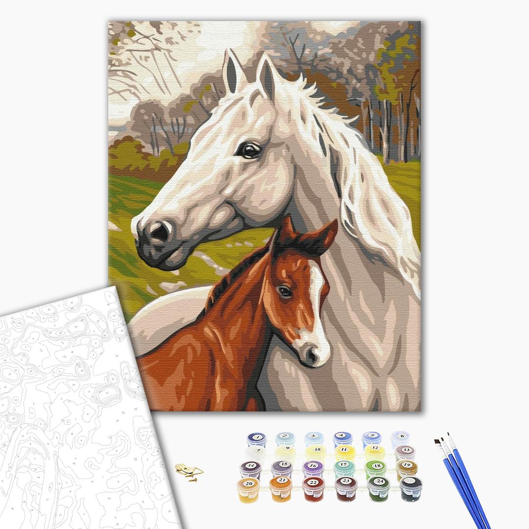 Painting by numbers Family of horses (BS33101)