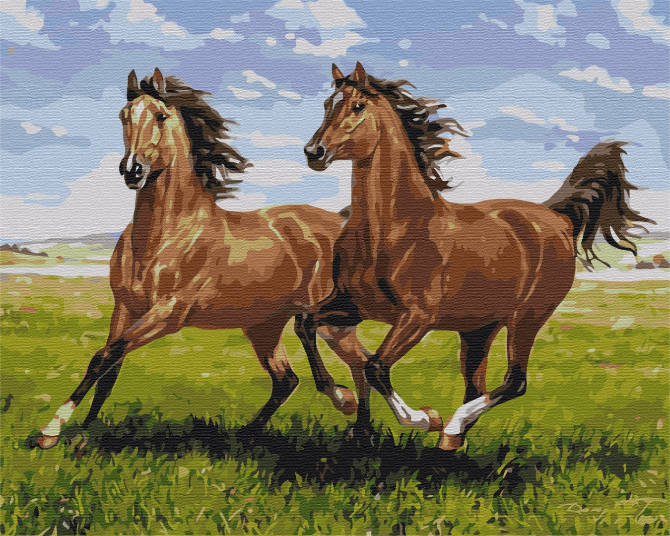 Painting by numbers Horses on a run (BS51966)