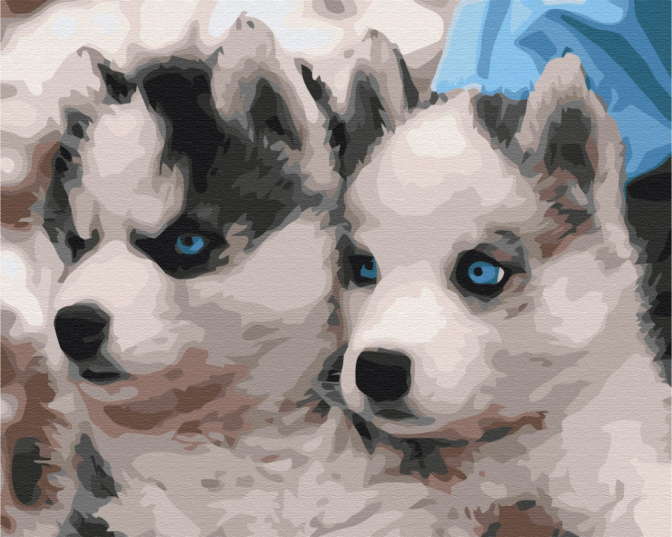 Painting by numbers Husky puppies (BS3797)