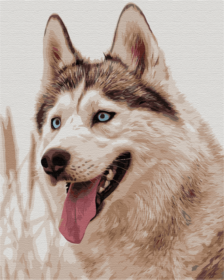 Painting by numbers Wolf (BS51763)