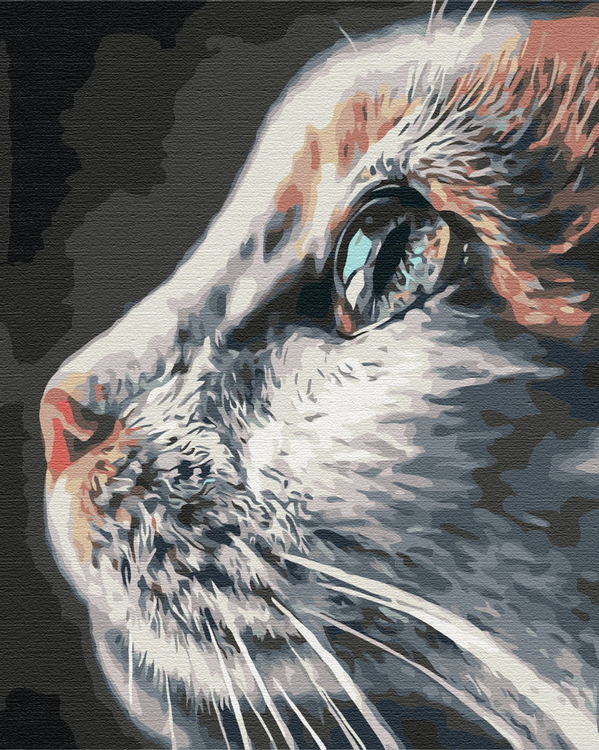 Painting by numbers Cat Profile (BS51792)