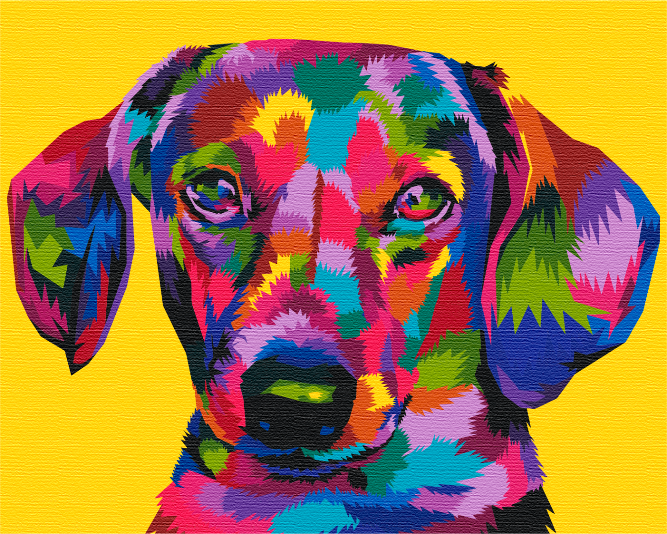 Painting by numbers Rainbow dachshund (BS51794)